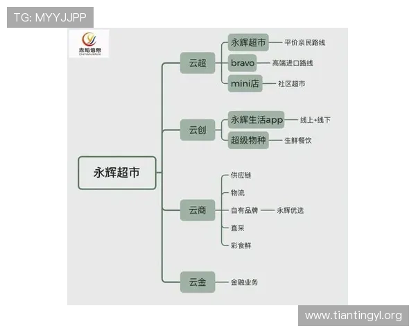 永辉国际物流有限公司：专业高效的全球供应链解决方案